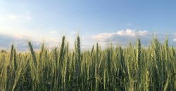 Без осадков: какой будет погода в Днепре 14 сентября - рис. 7