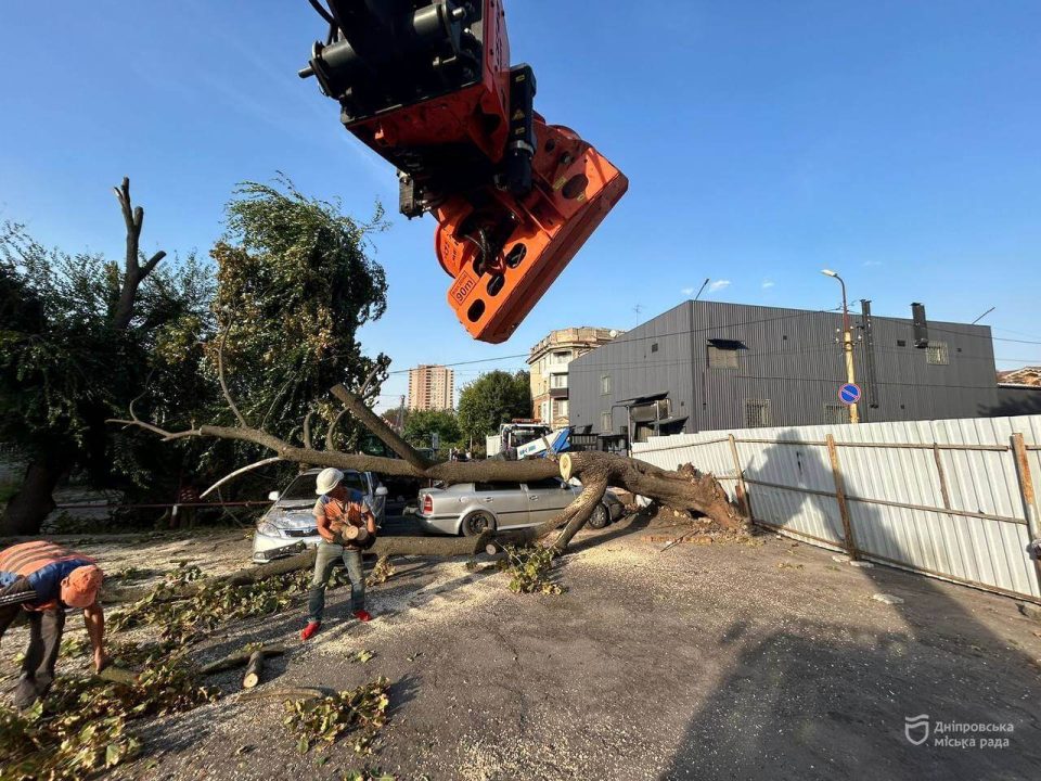 У Дніпрі триває ліквідація наслідків буревію: куди звертатися по допомогу