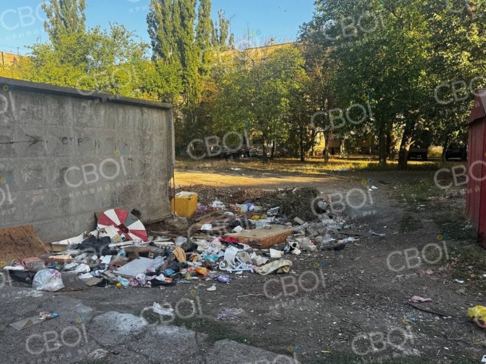 "Дядя показал, как нужно делать": в Кривом Роге мальчики взорвали гранату в мусорнике - рис. 2