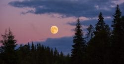 Над Днепром можно будет наблюдать крупнейший Супермесяц 2024 года - рис. 11