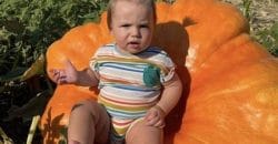 На Днепропетровщине вырастили самую большую тыкву в Украине