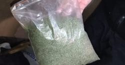 У селі на Дніпропетровщині виявили масштабні обсяги наркотичних речовин - рис. 5