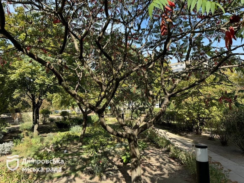 У Дніпрі в сквері ім. Євгенія Єніна з'явився дитячий майданчик - рис. 13