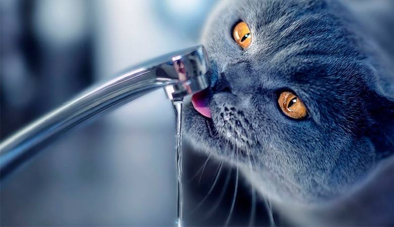 У частині Соборного району Дніпра не буде води