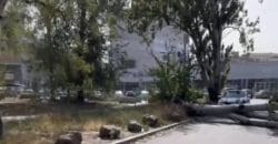 У середмісті Дніпра через сильний вітер з корінням вирвало дерево