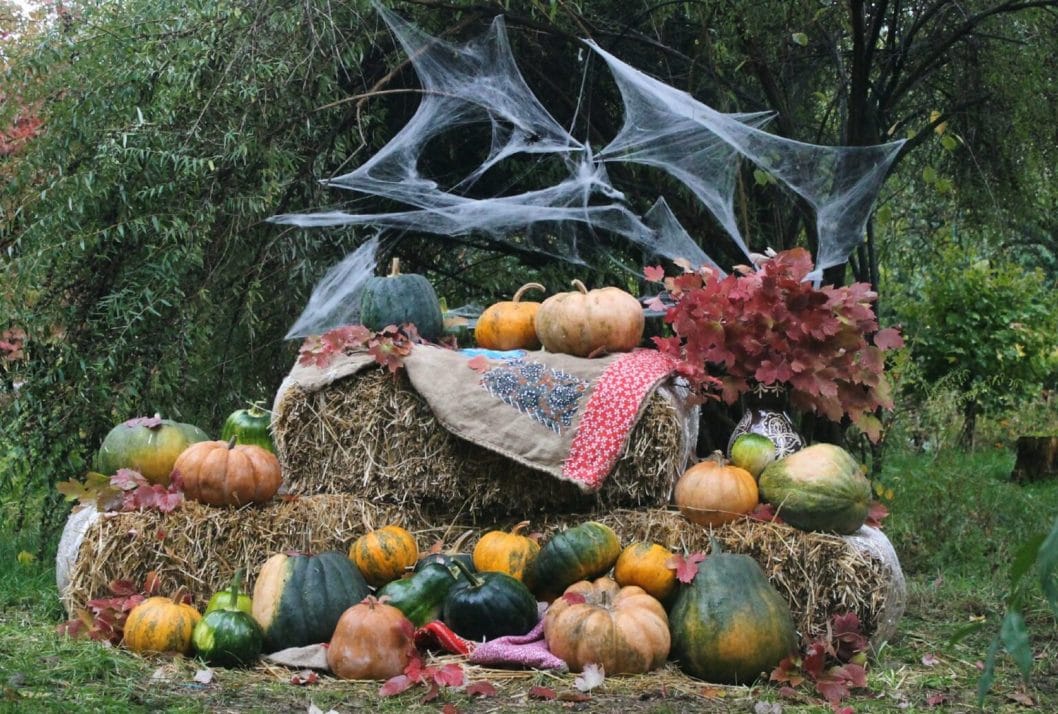 У Дніпровському ботанічному саду створили осінню інсталяцію з гарбузів